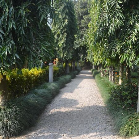 River View Jungle Camp Sauraha Room photo