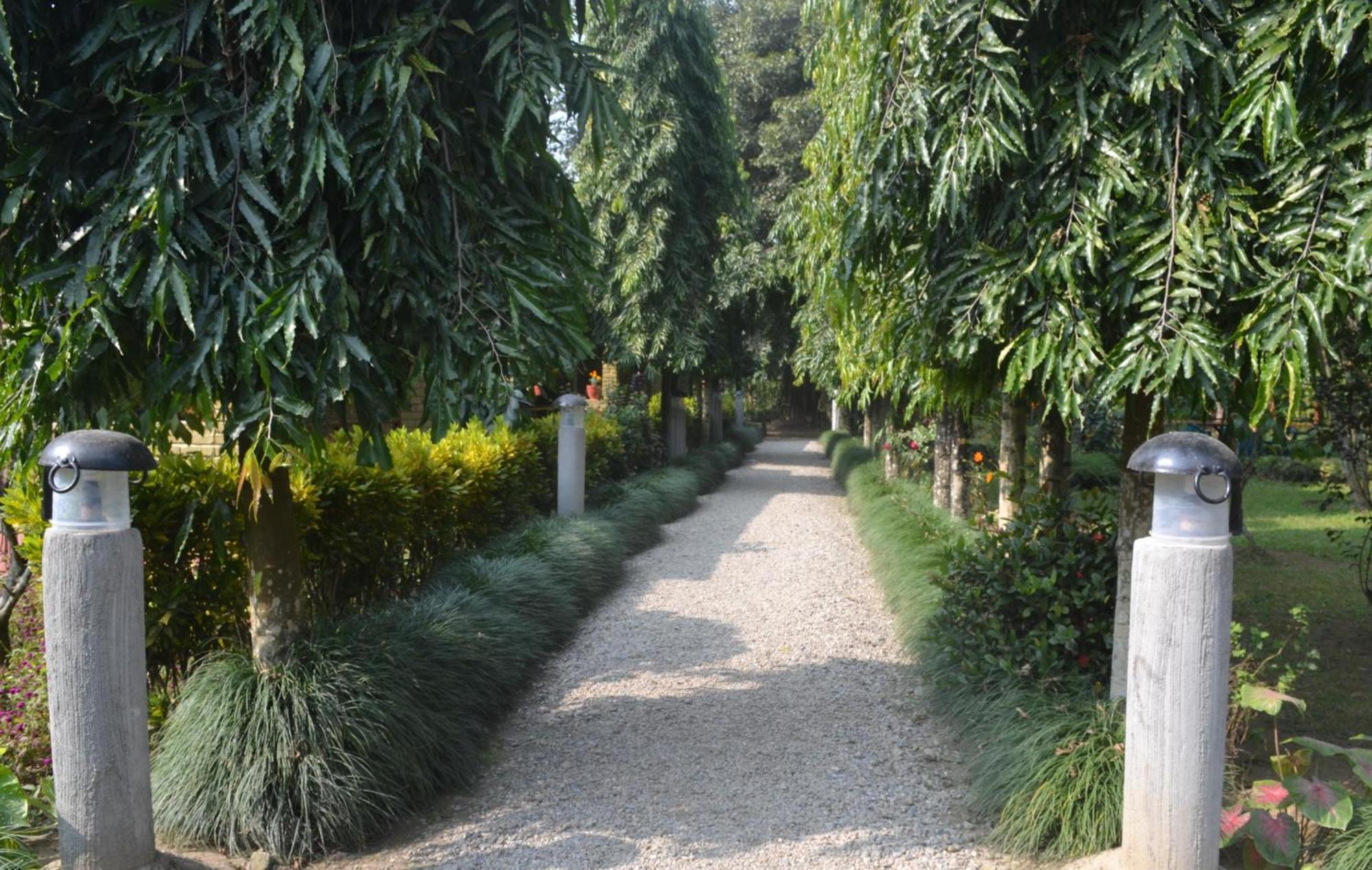 River View Jungle Camp Sauraha Room photo