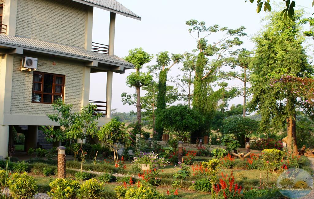 River View Jungle Camp Sauraha Exterior photo