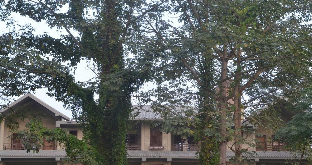River View Jungle Camp Sauraha Exterior photo