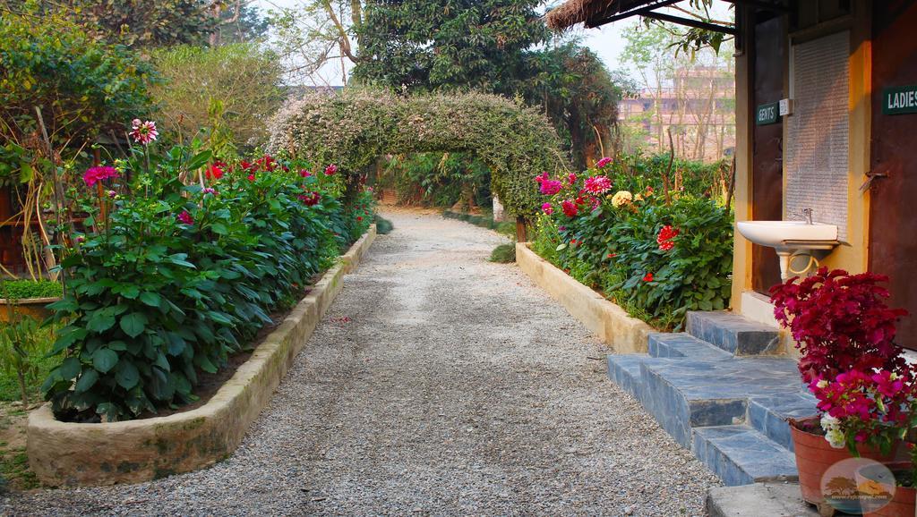 River View Jungle Camp Sauraha Exterior photo