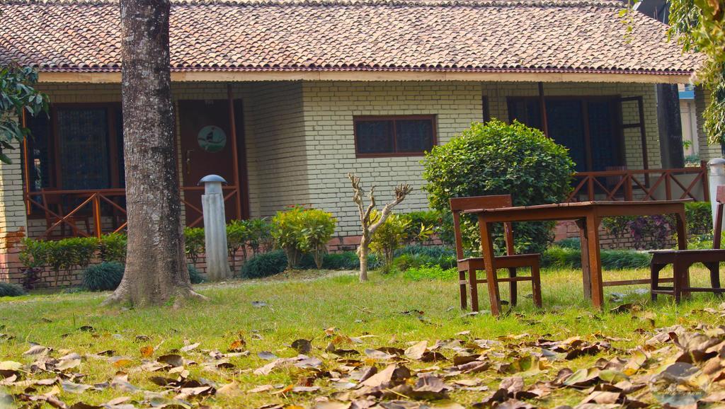 River View Jungle Camp Sauraha Exterior photo