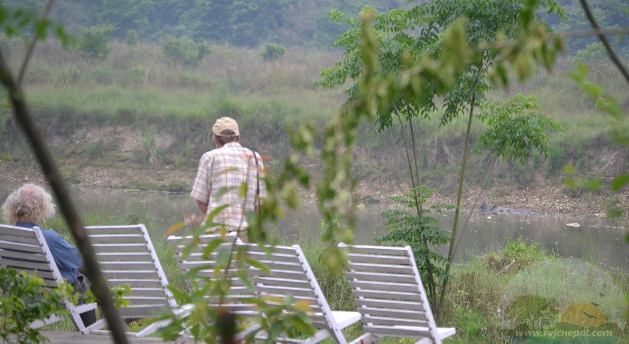 River View Jungle Camp Sauraha Exterior photo