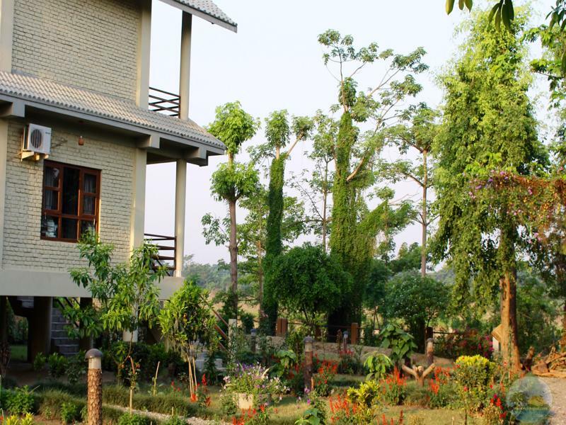 River View Jungle Camp Sauraha Exterior photo