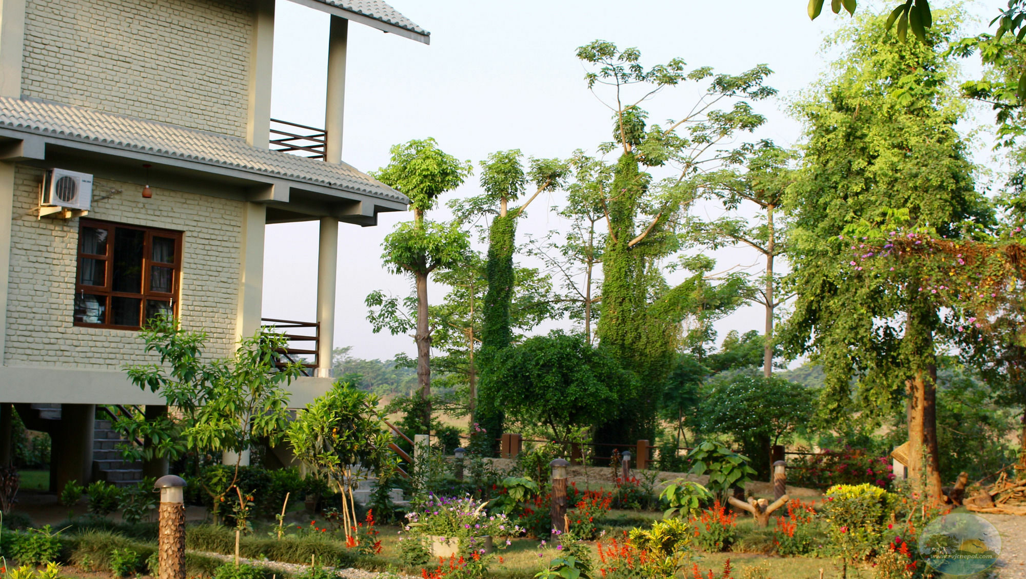 River View Jungle Camp Sauraha Exterior photo