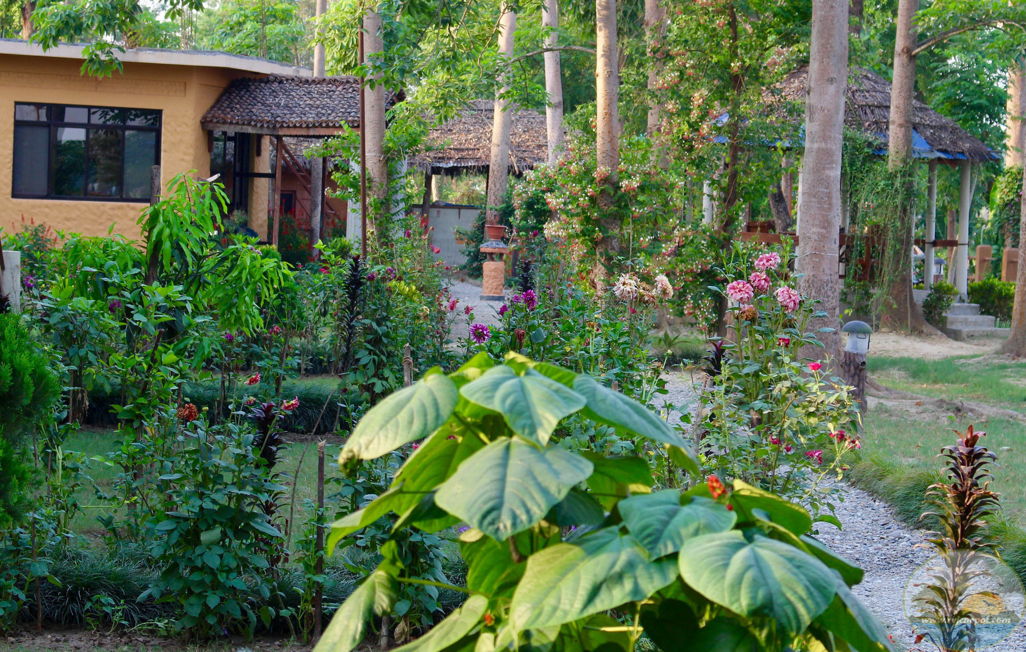 River View Jungle Camp Sauraha Exterior photo