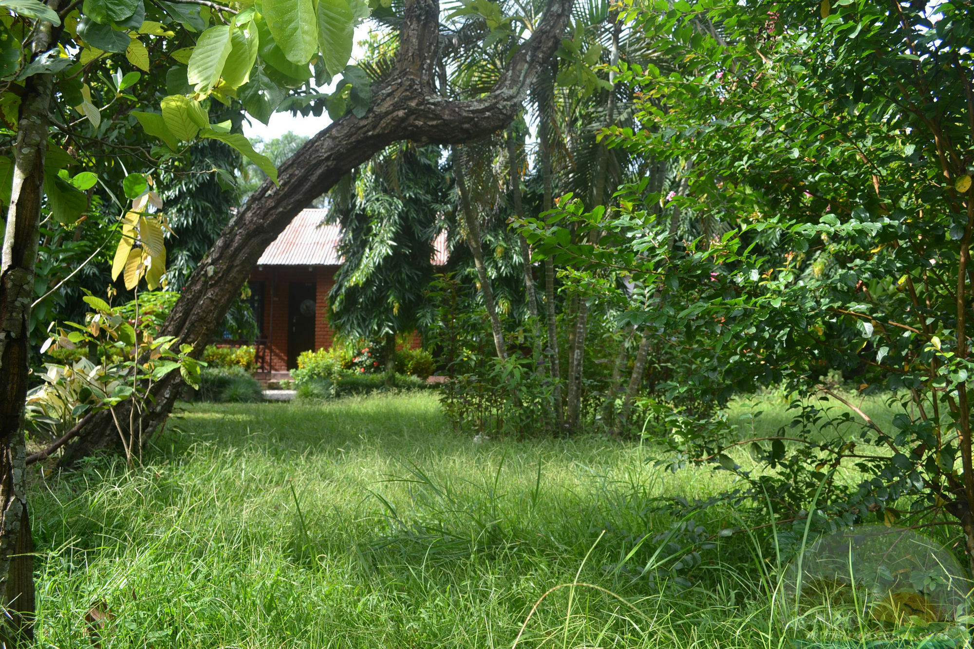 River View Jungle Camp Sauraha Exterior photo