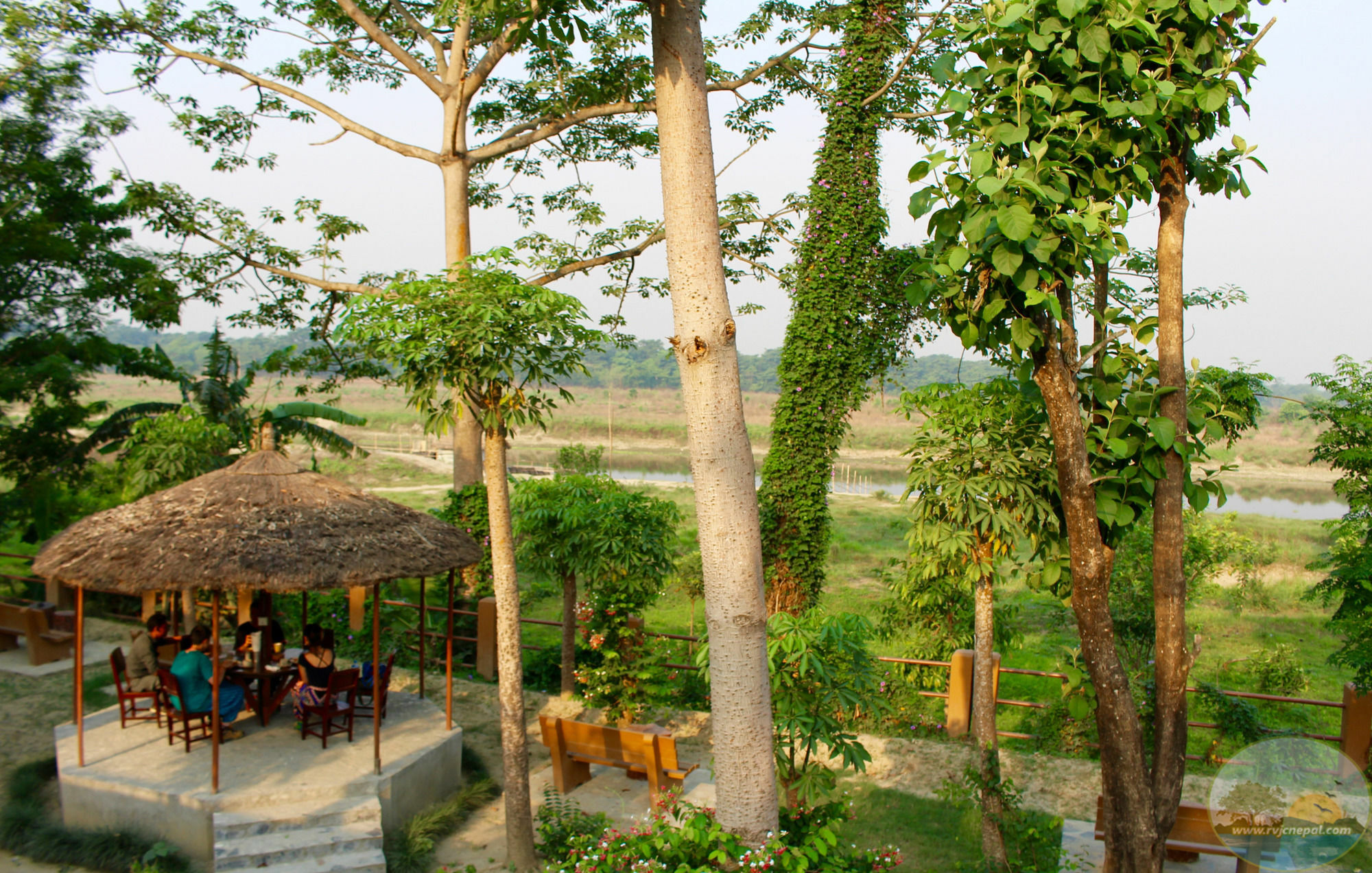 River View Jungle Camp Sauraha Exterior photo