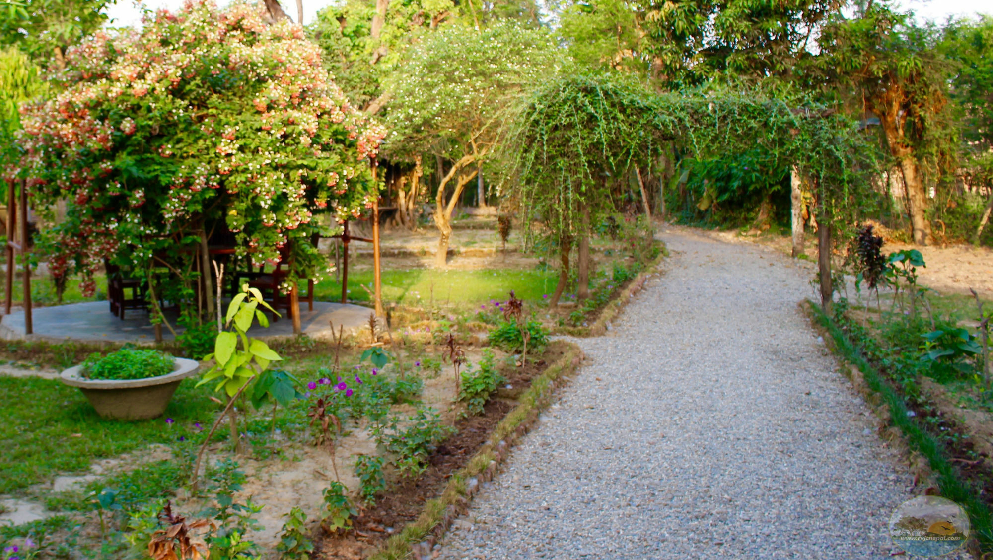 River View Jungle Camp Sauraha Exterior photo